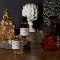 parfém Secret Potion No. 2 Bullfrog