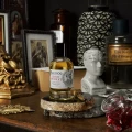parfém Bullfrog Secret Potion No. 2